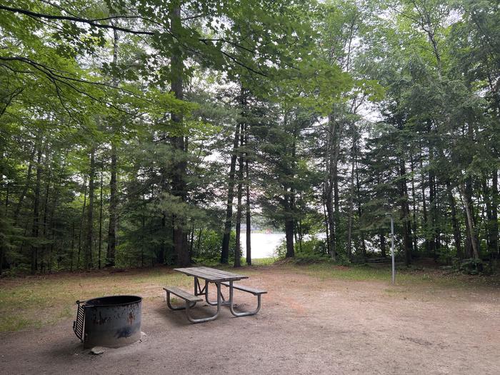 A photo of Site 031 of Loop Sites 13-49 at BREVOORT LAKE CAMPGROUND with Picnic Table, Fire Pit, Shade, Waterfront, Lantern Pole