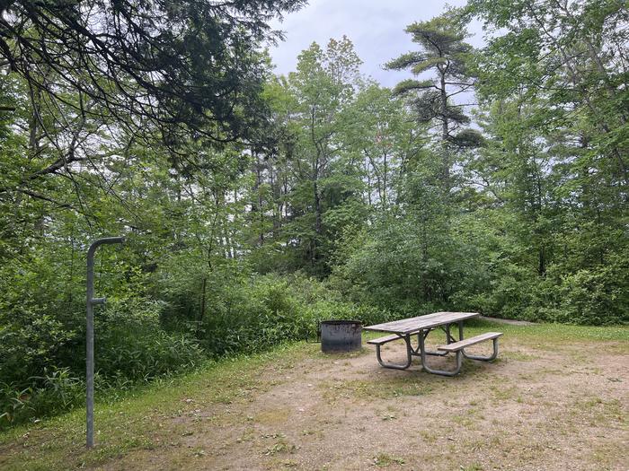A photo of Site X21 of Loop MANAGEMENT SITES at BREVOORT LAKE CAMPGROUND with Picnic Table, Fire Pit, Shade, Waterfront
