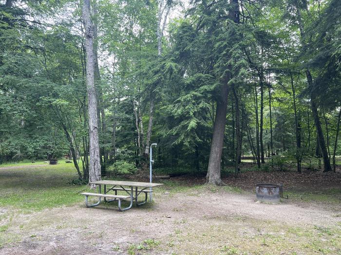 A photo of Site 046 of Loop Sites 13-49 at BREVOORT LAKE CAMPGROUND with Picnic Table, Fire Pit, Shade, Lantern Pole