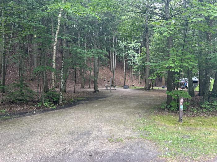 A photo of Site 051 of Loop Sites 50-70 at BREVOORT LAKE CAMPGROUND with Picnic Table, Fire Pit, Lantern Pole
