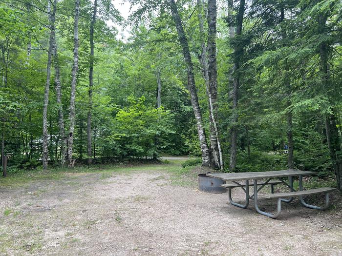 A photo of Site X54 of Loop MANAGEMENT SITES at BREVOORT LAKE CAMPGROUND with Picnic Table, Fire Pit, Shade