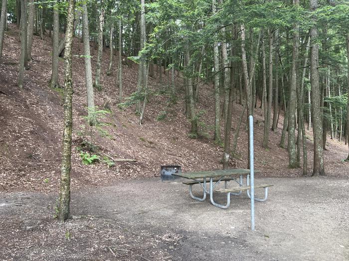 A photo of Site 050 of Loop Sites 50-70 at BREVOORT LAKE CAMPGROUND with Picnic Table, Fire Pit, Shade, Lantern Pole