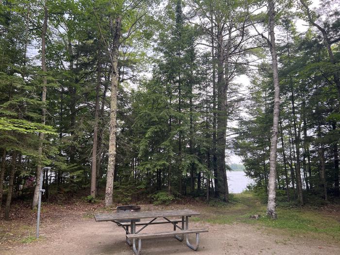 A photo of Site X38 of Loop MANAGEMENT SITES at BREVOORT LAKE CAMPGROUND with Picnic Table, Fire Pit, Shade, Waterfront, Lantern Pole