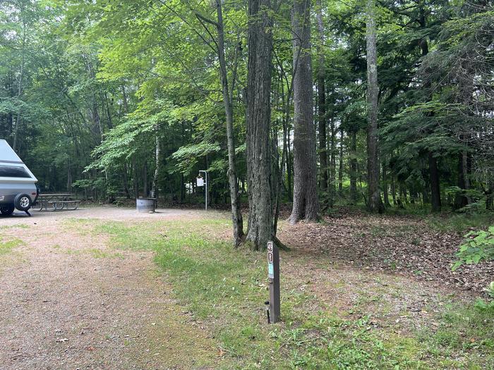 A photo of Site 049 of Loop Sites 13-49 at BREVOORT LAKE CAMPGROUND with Picnic Table, Fire Pit, Shade, Lantern Pole