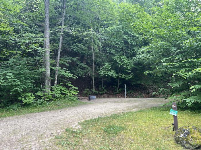 A photo of Site X66 of Loop MANAGEMENT SITES at BREVOORT LAKE CAMPGROUND with Picnic Table, Fire Pit, Shade, Lantern Pole