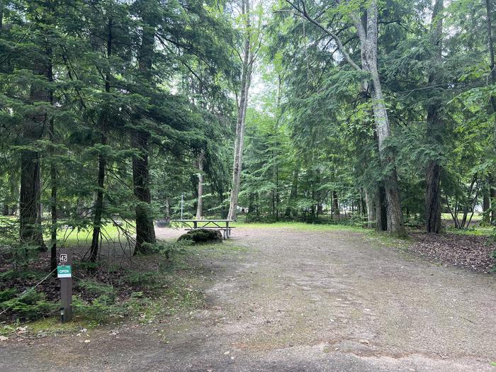 A photo of Site X42 of Loop MANAGEMENT SITES at BREVOORT LAKE CAMPGROUND with Picnic Table, Shade
