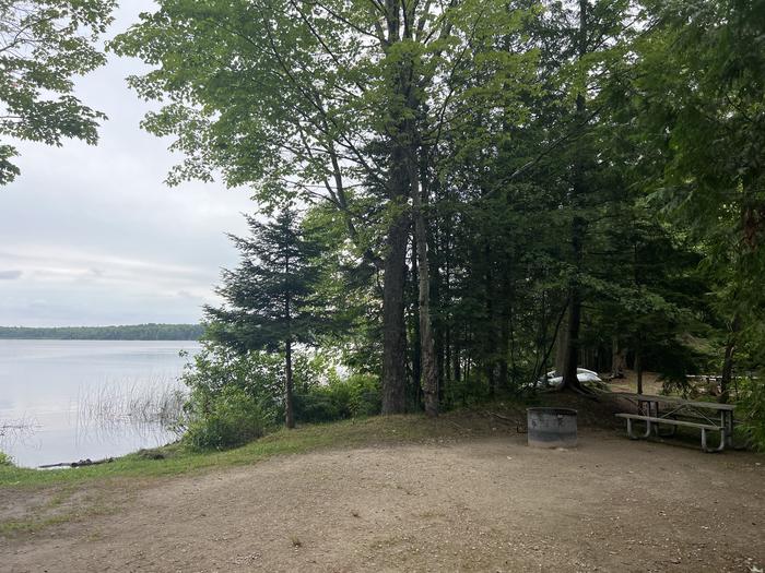 A photo of Site 058 of Loop Sites 50-70 at BREVOORT LAKE CAMPGROUND with Picnic Table, Fire Pit, Shade, Waterfront, Lantern Pole