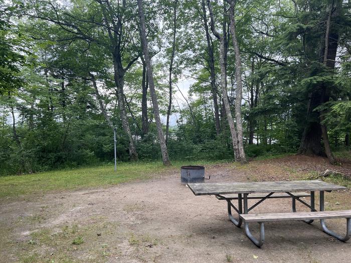 A photo of Site X19 of Loop MANAGEMENT SITES at BREVOORT LAKE CAMPGROUND with Picnic Table, Fire Pit, Shade, Lantern Pole