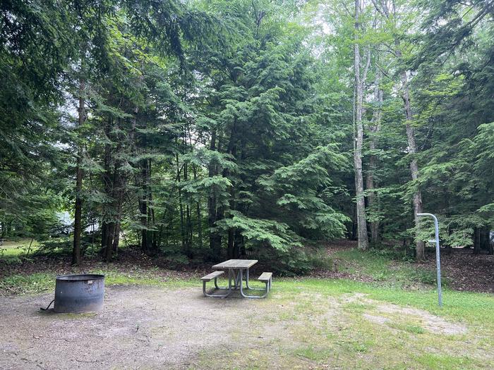 A photo of Site X30 of Loop MANAGEMENT SITES at BREVOORT LAKE CAMPGROUND with Picnic Table, Fire Pit, Shade, Lantern Pole