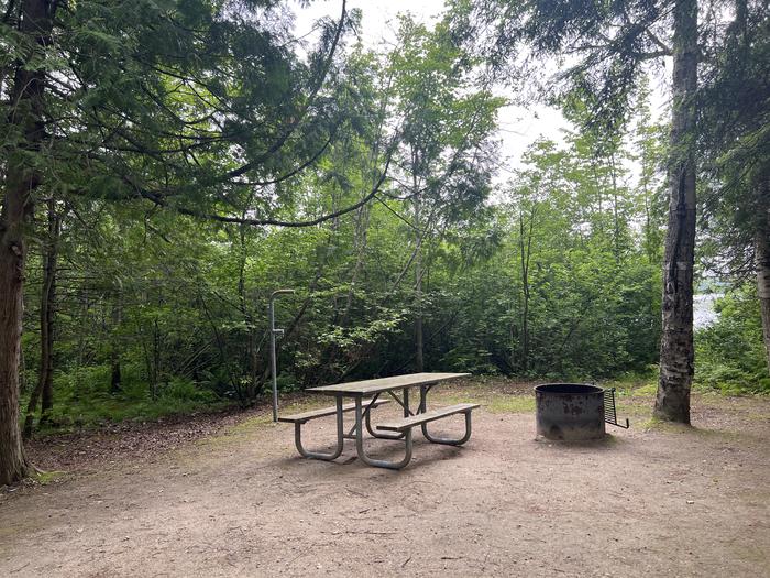 A photo of Site X64 of Loop MANAGEMENT SITES at BREVOORT LAKE CAMPGROUND with Picnic Table, Fire Pit, Shade, Waterfront, Lantern Pole
