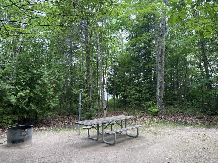 A photo of Site X47 of Loop MANAGEMENT SITES at BREVOORT LAKE CAMPGROUND with Picnic Table, Fire Pit, Shade, Waterfront, Lantern Pole