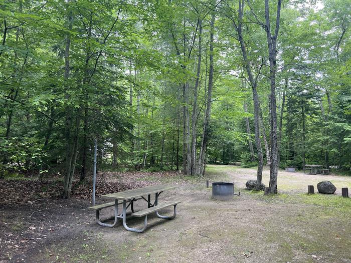 A photo of Site X69 of Loop MANAGEMENT SITES at BREVOORT LAKE CAMPGROUND with Picnic Table, Fire Pit, Shade, Lantern Pole