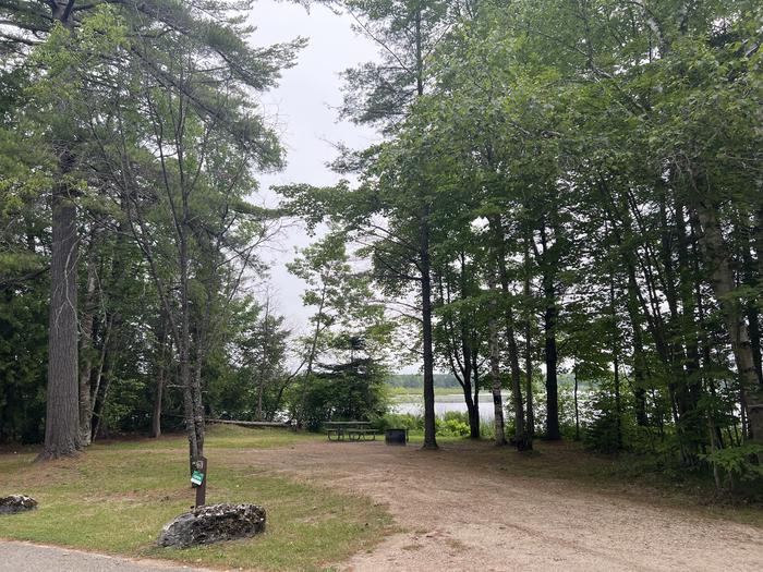 A photo of Site X60 of Loop MANAGEMENT SITES at BREVOORT LAKE CAMPGROUND with Picnic Table, Fire Pit, Shade, Waterfront, Lantern Pole