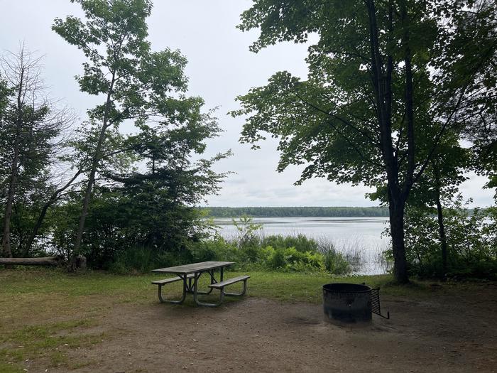 A photo of Site X60 of Loop MANAGEMENT SITES at BREVOORT LAKE CAMPGROUND with Picnic Table, Fire Pit, Shade, Waterfront