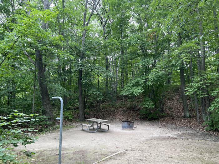 A photo of Site 002 of Loop LAKE MICHIGAN AT ST. IGNACE at LAKE MICHIGAN AT ST. IGNACE with Picnic Table, Fire Pit, Shade, Lantern Pole