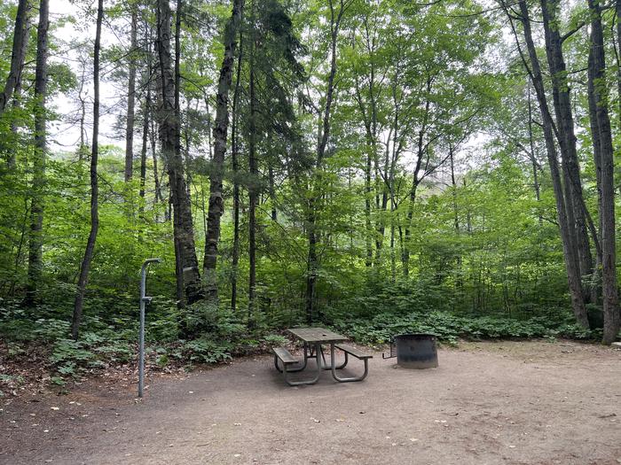 A photo of Site 022 of Loop LAKE MICHIGAN AT ST. IGNACE at LAKE MICHIGAN AT ST. IGNACE with Picnic Table, Fire Pit, Shade, Lantern Pole