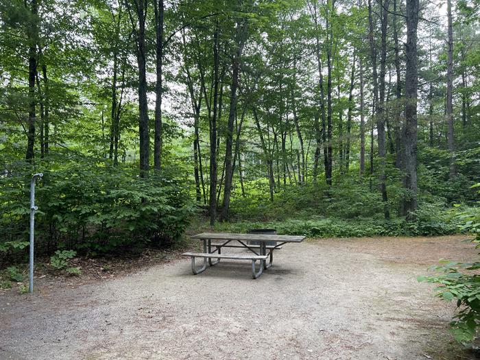 A photo of Site 027 of Loop LAKE MICHIGAN AT ST. IGNACE at LAKE MICHIGAN AT ST. IGNACE with Picnic Table, Fire Pit, Shade, Lantern Pole