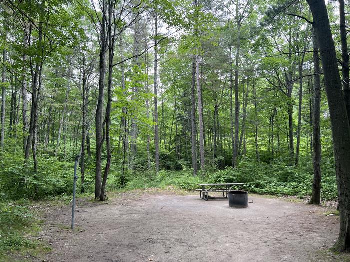 A photo of Site 016 of Loop LAKE MICHIGAN AT ST. IGNACE at LAKE MICHIGAN AT ST. IGNACE with Picnic Table, Fire Pit, Shade, Lantern Pole