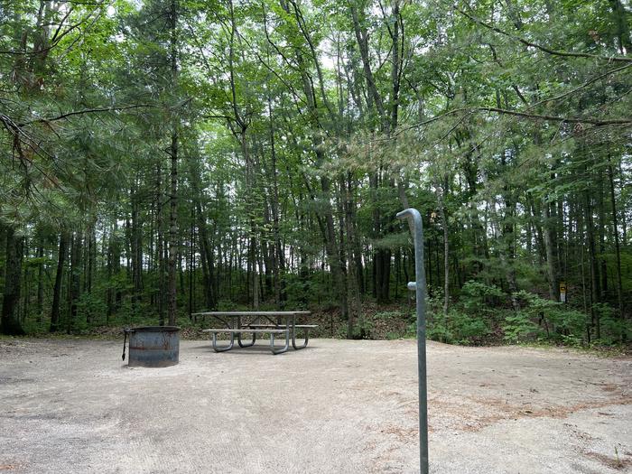 A photo of Site 023 of Loop LAKE MICHIGAN AT ST. IGNACE at LAKE MICHIGAN AT ST. IGNACE with Picnic Table, Fire Pit, Shade, Waterfront, Lantern Pole