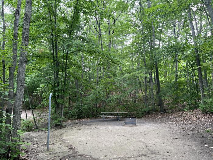 A photo of Site 004 of Loop LAKE MICHIGAN AT ST. IGNACE at LAKE MICHIGAN AT ST. IGNACE with Picnic Table, Fire Pit, Shade, Lantern Pole