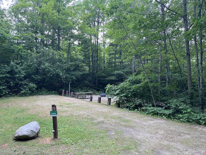 A photo of Site 029 of Loop LAKE MICHIGAN AT ST. IGNACE at LAKE MICHIGAN AT ST. IGNACE with Picnic Table, Fire Pit, Shade, Lantern Pole