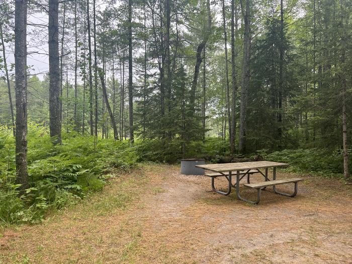 A photo of Site 002 of Loop CARP RIVER at CARP RIVER CAMPGROUND with Picnic Table, Fire Pit, Shade
