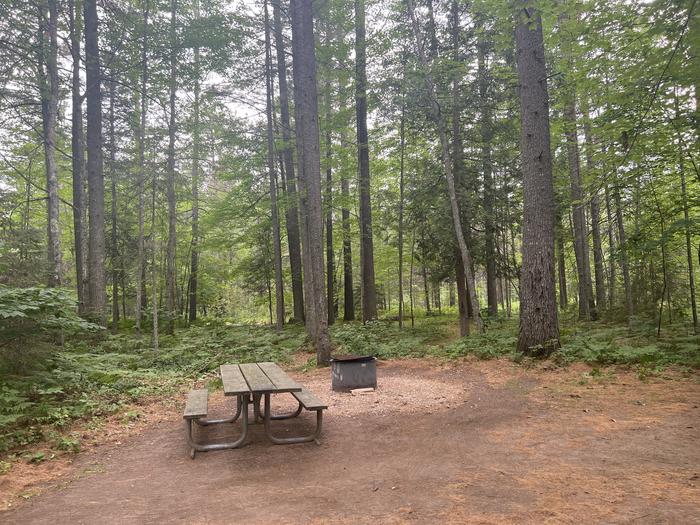 A photo of Site 004  of Loop CARP RIVER at CARP RIVER CAMPGROUND with Picnic Table, Fire Pit, Shade