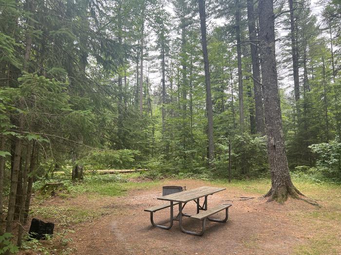 A photo of Site 007 of Loop CARP RIVER at CARP RIVER CAMPGROUND with Picnic Table, Fire Pit, Shade, Lantern Pole