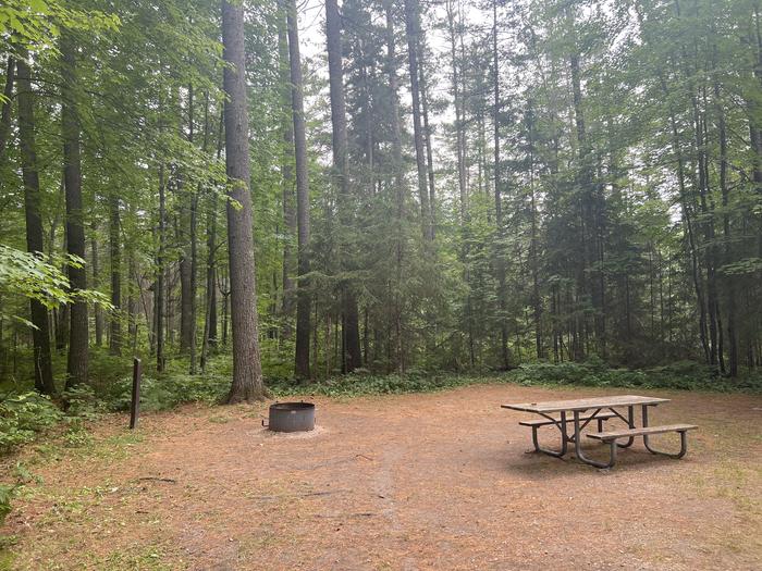 A photo of Site 005 of Loop CARP RIVER at CARP RIVER CAMPGROUND with Picnic Table, Fire Pit, Shade, Lantern Pole