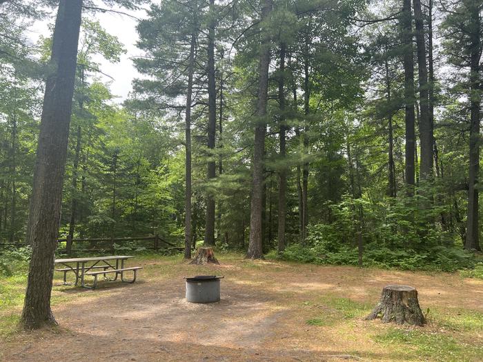 A photo of Site 008 of Loop CARP RIVER at CARP RIVER CAMPGROUND with Picnic Table, Fire Pit, Shade, Lantern Pole