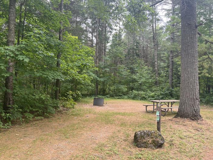A photo of Site 010 of Loop CARP RIVER at CARP RIVER CAMPGROUND with Picnic Table, Fire Pit, Shade, Lantern Pole