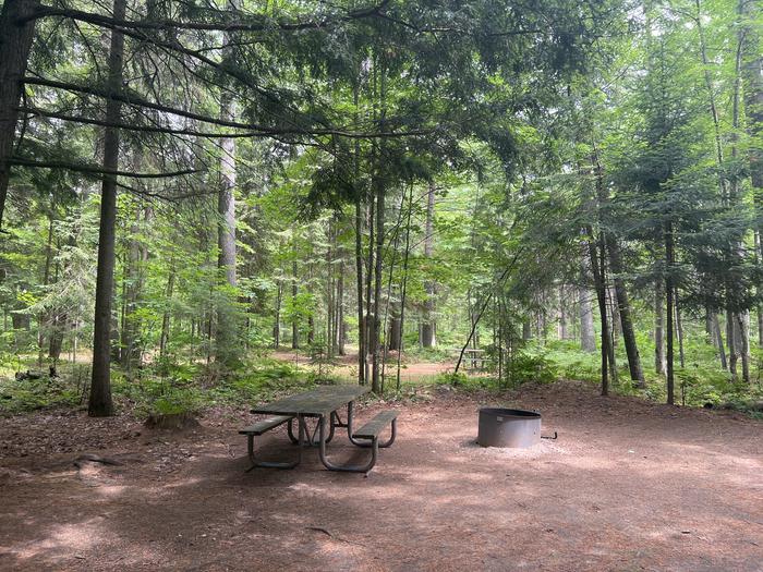 A photo of Site 011 of Loop CARP RIVER at CARP RIVER CAMPGROUND with Picnic Table, Fire Pit, Shade