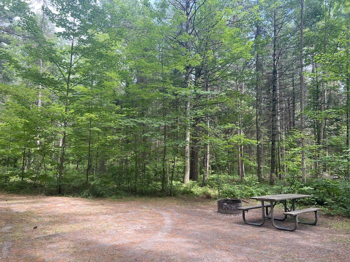 A photo of Site 019 of Loop CARP RIVER at CARP RIVER CAMPGROUND with Picnic Table, Fire Pit, Shade