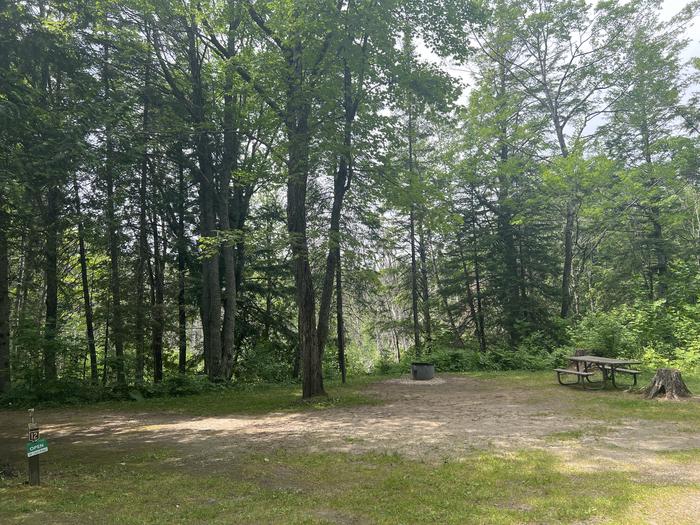 A photo of Site 012 of Loop CARP RIVER at CARP RIVER CAMPGROUND with Picnic Table, Fire Pit, Shade, Lantern Pole