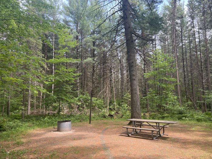 A photo of Site 018 of Loop CARP RIVER at CARP RIVER CAMPGROUND with Picnic Table, Fire Pit, Shade, Lantern Pole