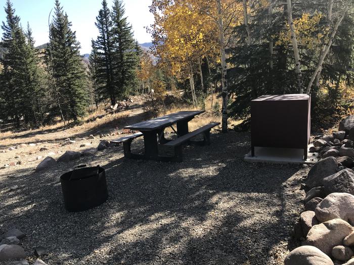 Mill Creek campsite 7 with picnic table, fire ring, and bear box.