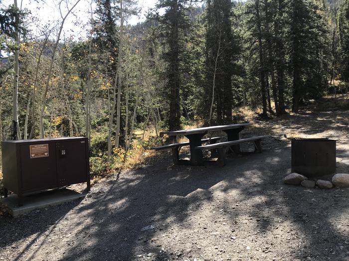 Mill Creek campsite 9 with picnic table, fire ring, and bear box.