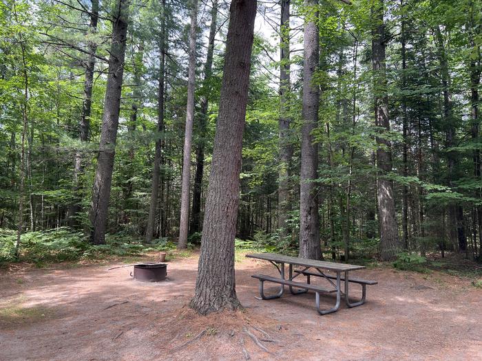A photo of Site 04 of Loop THREE LAKES  at THREE LAKES with Picnic Table, Fire Pit, Shade