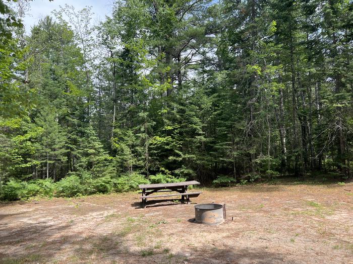 A photo of Site 09 of Loop THREE LAKES  at THREE LAKES with Picnic Table, Fire Pit, Shade