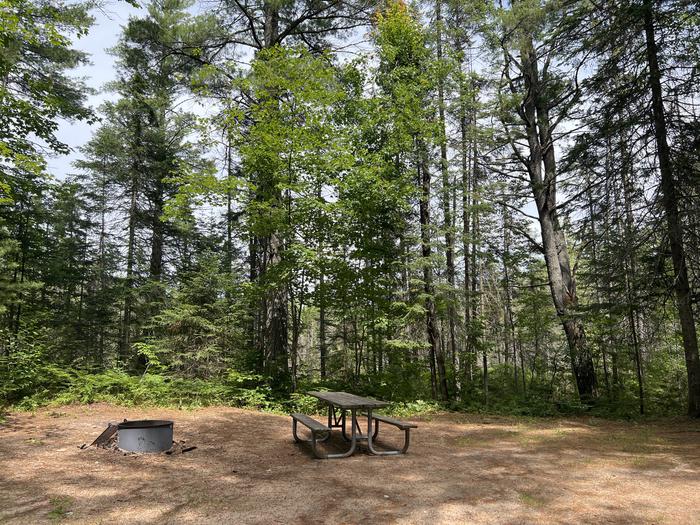 A photo of Site 10 of Loop THREE LAKES  at THREE LAKES with Picnic Table, Fire Pit, Shade