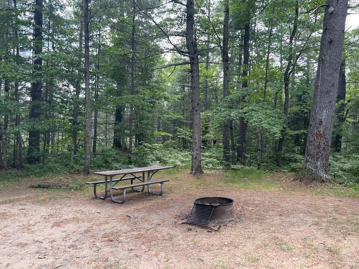 A photo of Site 01 of Loop THREE LAKES  at THREE LAKES with Picnic Table, Fire Pit, Shade, Waterfront