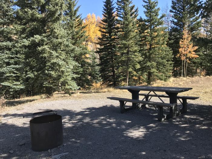 Campsite 15 with fire ring and picnic table