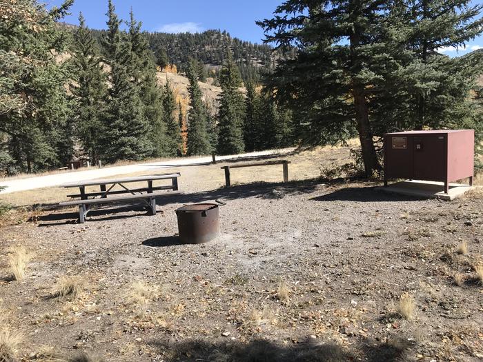 Campsite 17 with fire ring, bear box, and picnic table