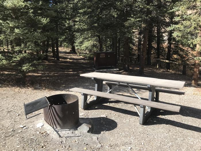 Campsite 20 with fire ring and picnic table