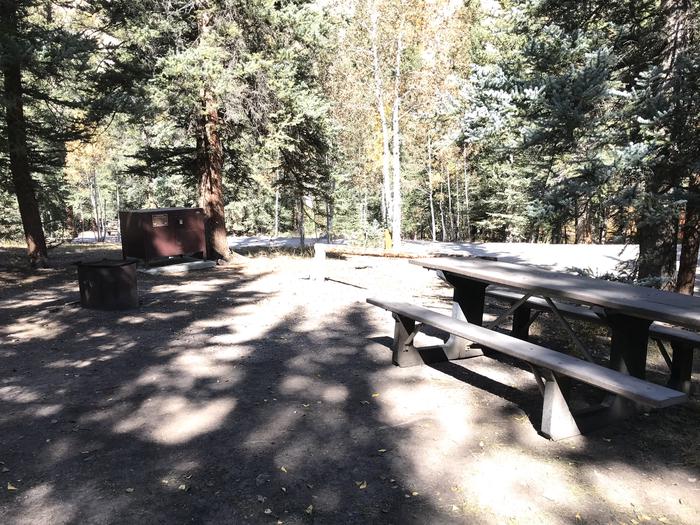 Campsite 21 with fire ring and picnic table