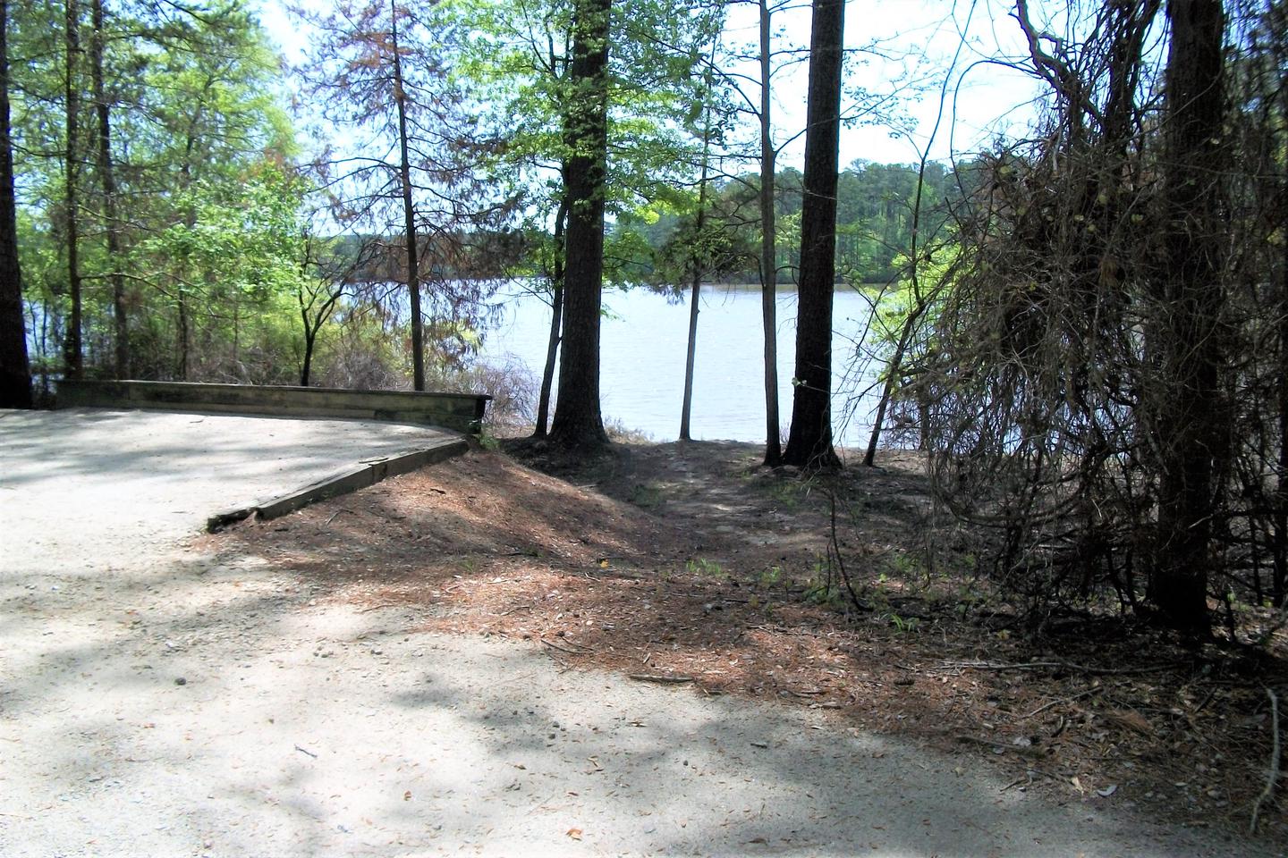 Site 10 Trail to lake