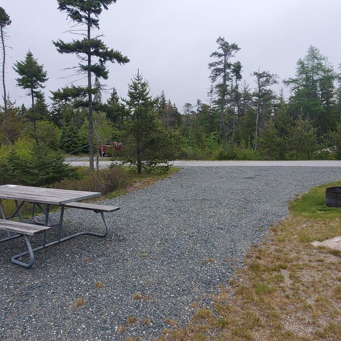 A1 back of site looking forwardA photo of Site A01 of Loop A-Loop at Schoodic Woods Campground with Picnic Table, Electricity Hookup, Fire Pit, Water Hookup