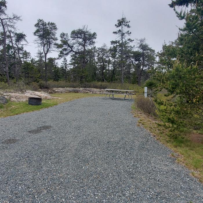 A1 with picnic tableA photo of Site A01 of Loop A-Loop at Schoodic Woods Campground with Picnic Table, Electricity Hookup, Fire Pit, Water Hookup