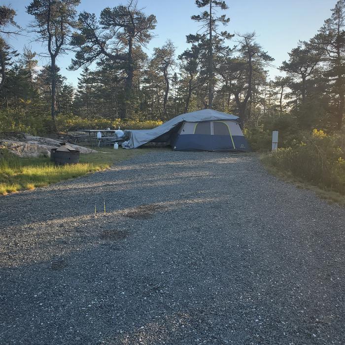 A1 with tent at siteA photo of Site A01 of Loop A-Loop at Schoodic Woods Campground with Picnic Table, Electricity Hookup, Fire Pit, Water Hookup