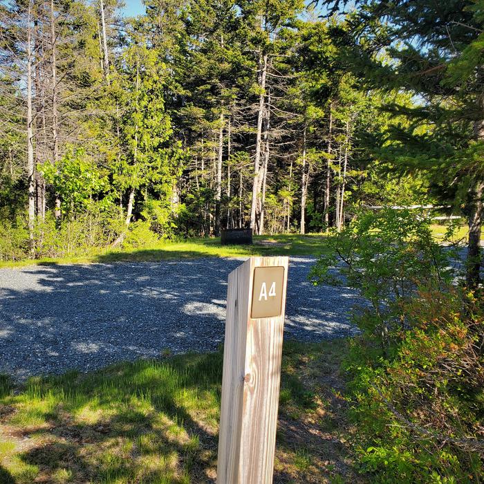 Site A4 from roadA photo of Site A04 of Loop A-Loop at Schoodic Woods Campground with Picnic Table, Electricity Hookup, Fire Pit